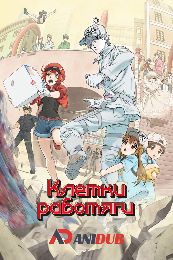 Клетки-работяги / Hataraku Saibou [13 из 13 + SP]