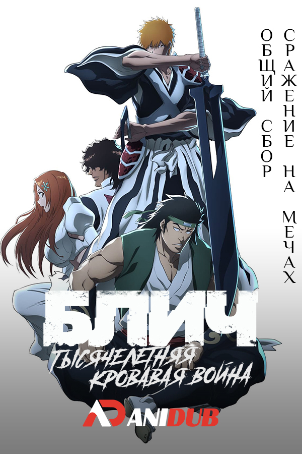 Блич: Тысячелетняя кровавая война - Конфликт ТВ-2 / Bleach: Sennen Kessen-hen - Soukoku-tan TV-2 [12 из 12]